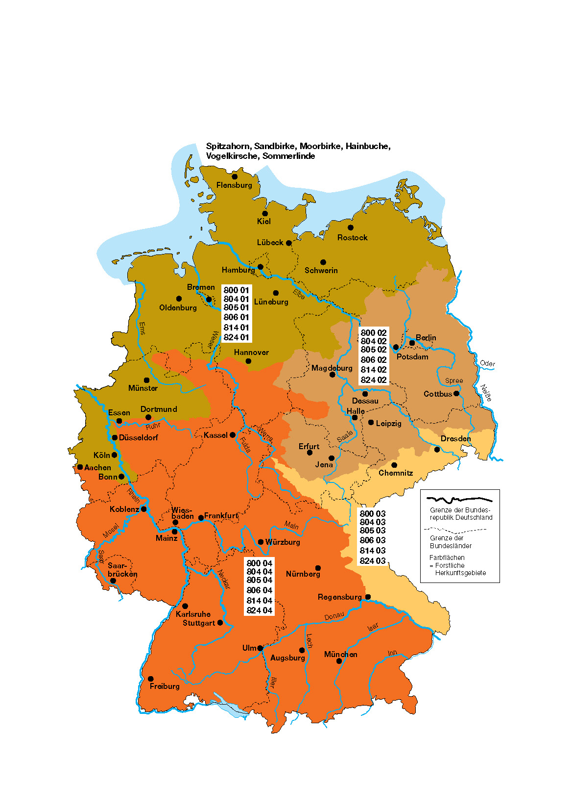 Karte für Spitzahorn