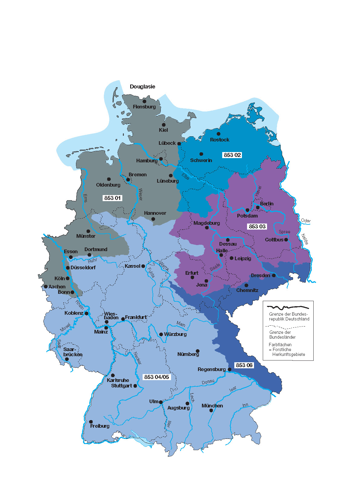 Karte für Douglasie