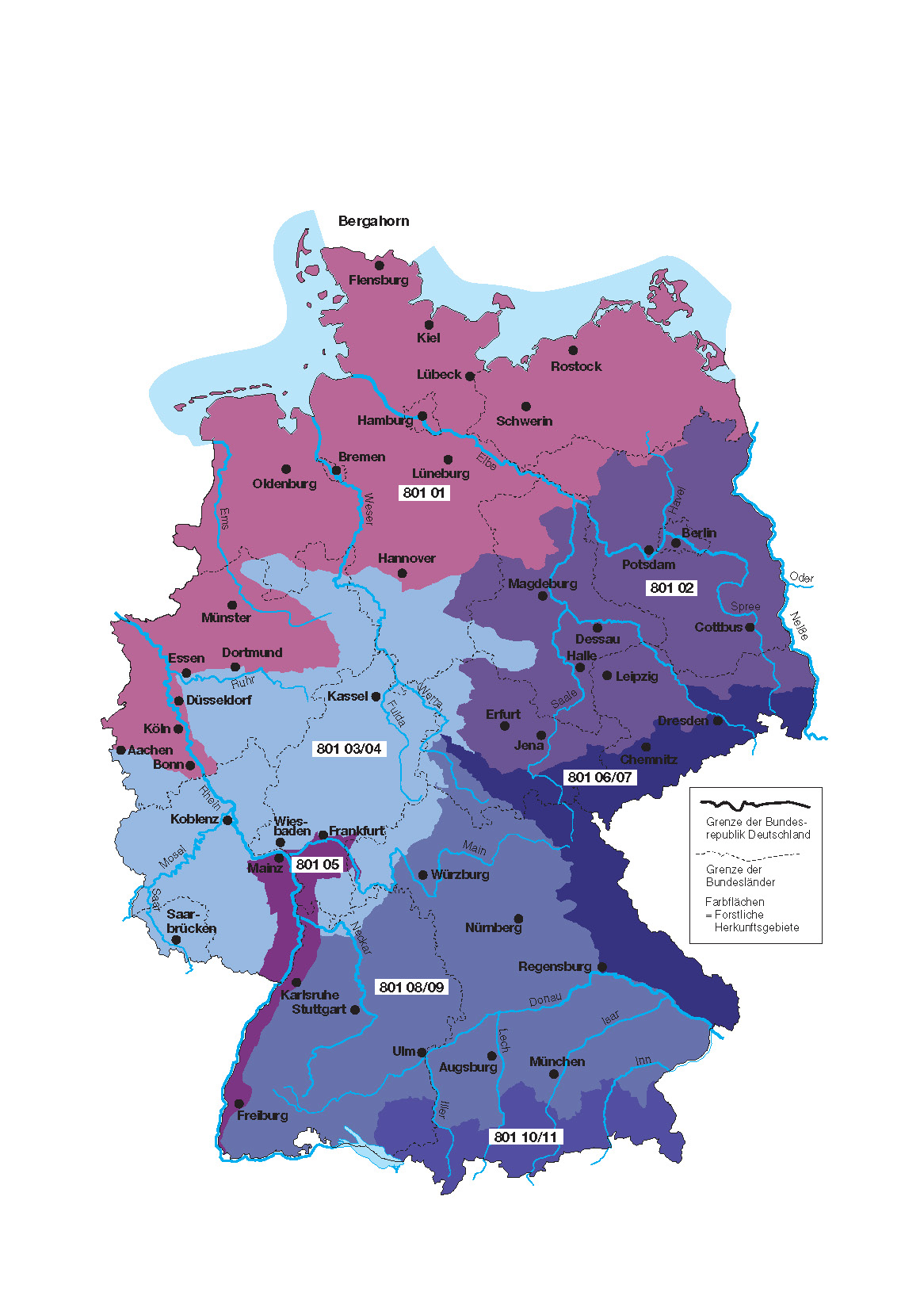 Karte für Bergahorn