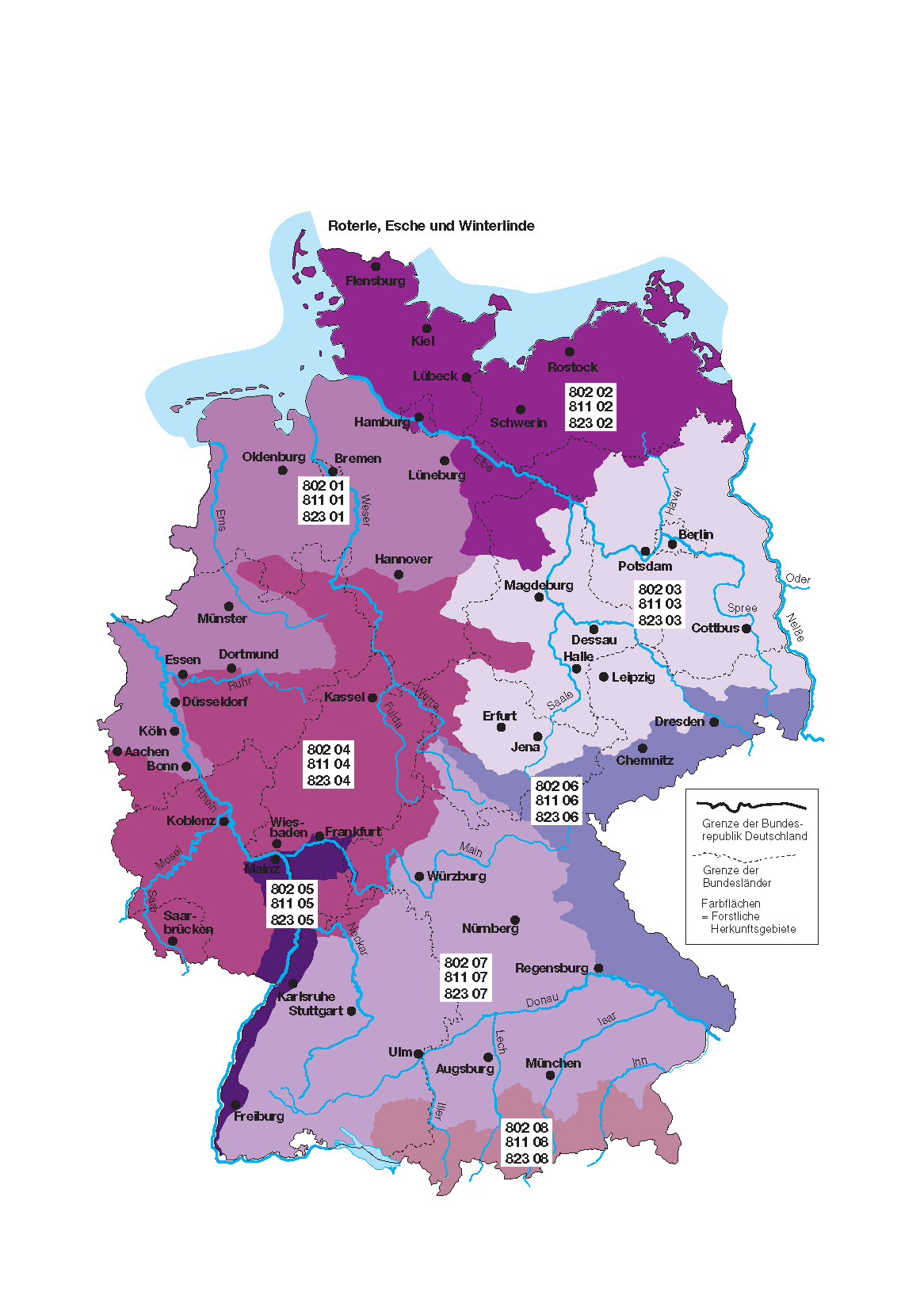 Karte für Winterlinde