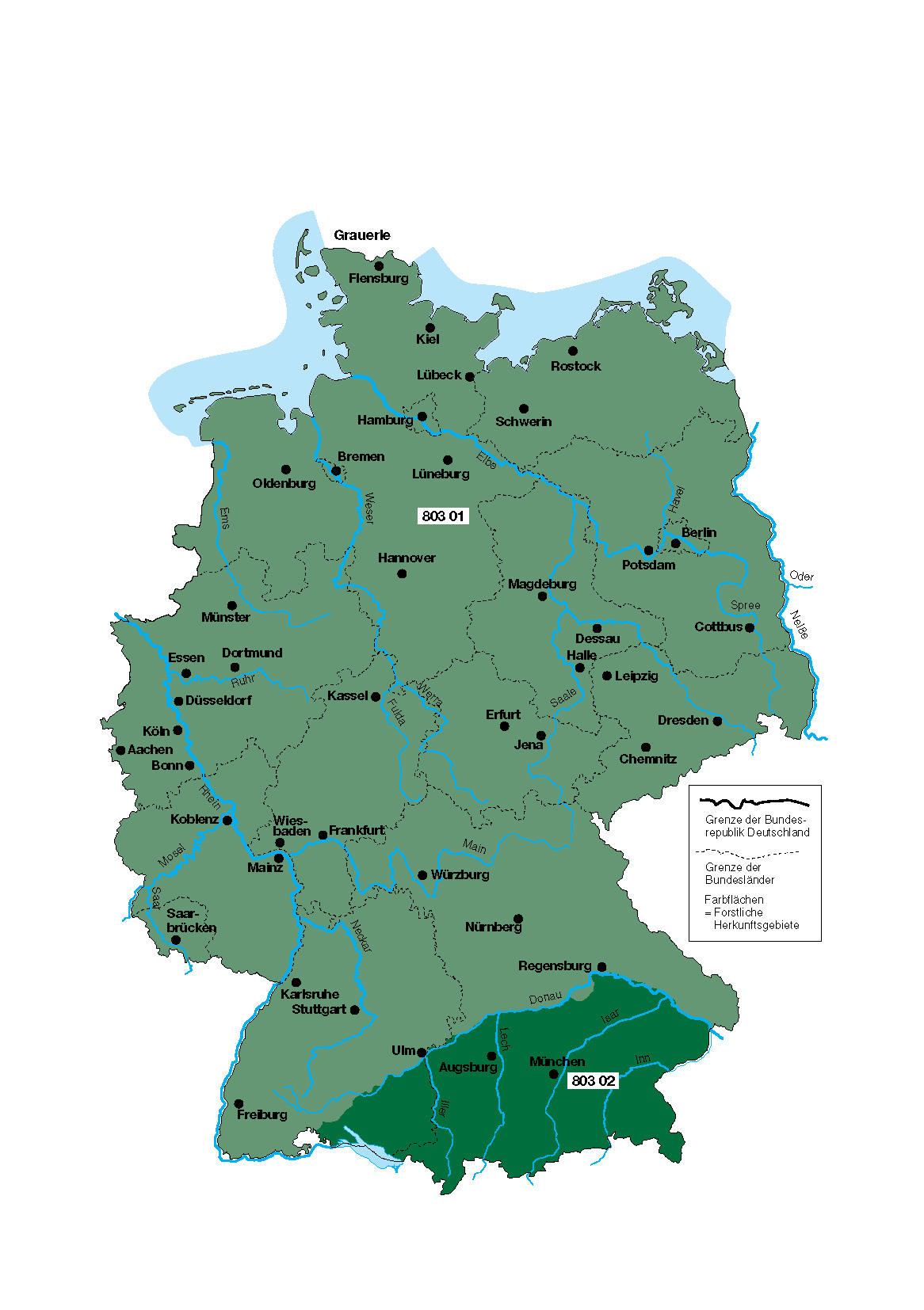 Karte für Weißerle