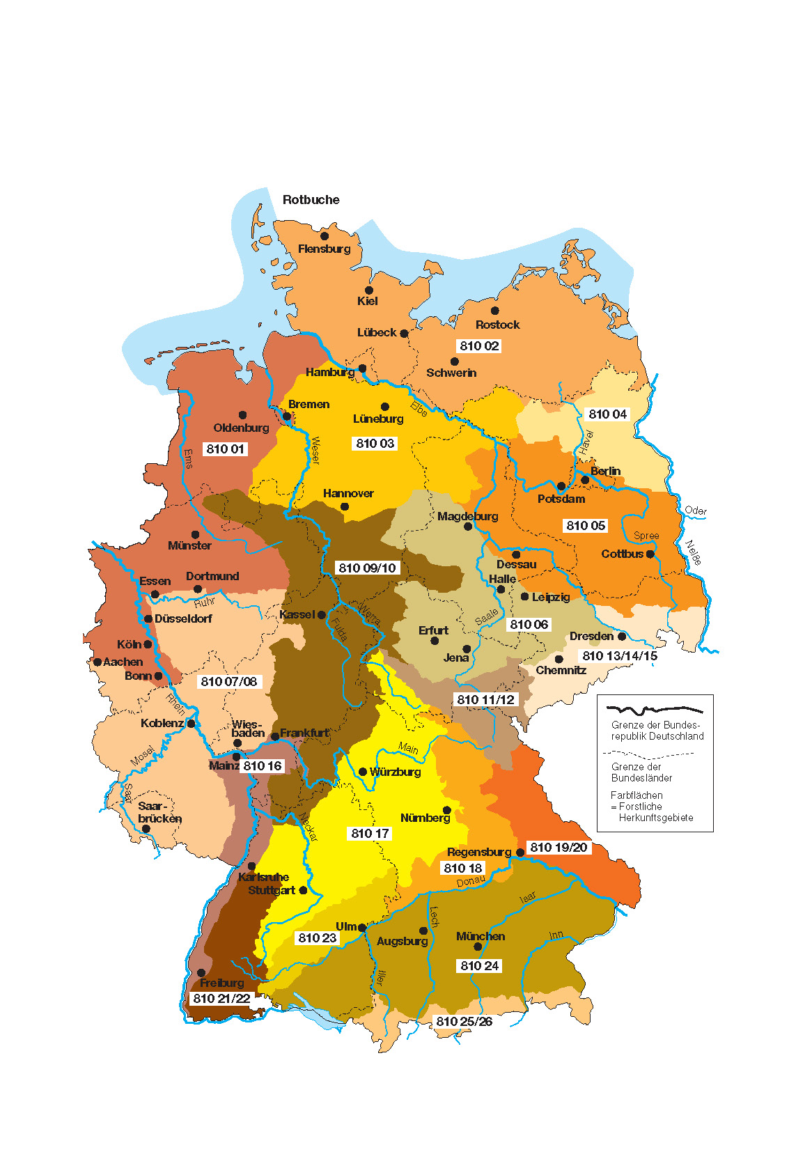 Karte für Rotbuche