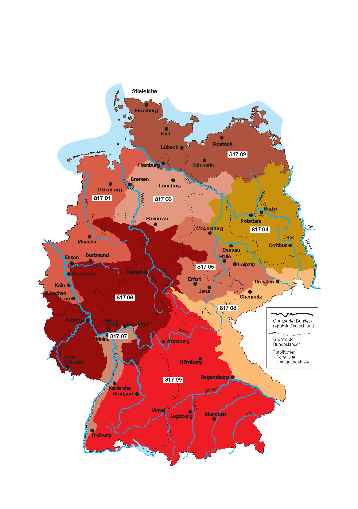 Karte für Stieleiche