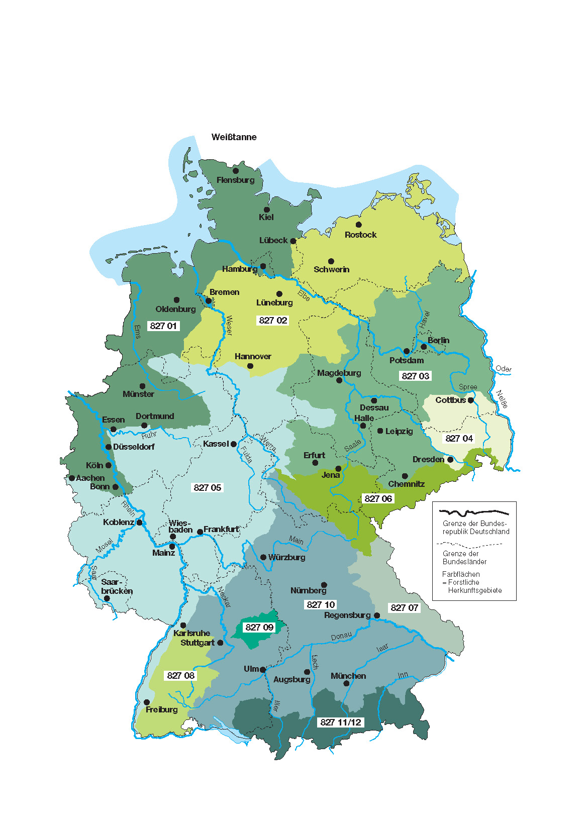 Karte für Weißtanne